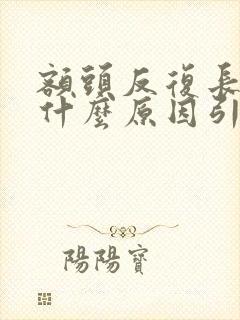 额头反复长痘是什么原因引起的