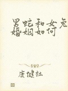 男蛇和女兔相配婚姻如何封面