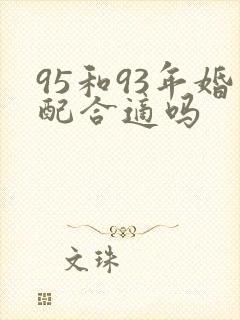 95和93年婚配合适吗封面