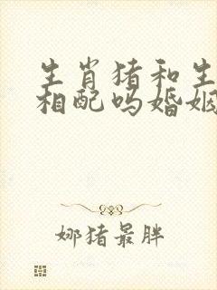 生肖猪和生肖狗相配吗婚姻如何