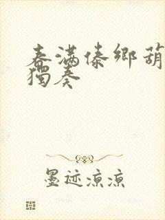 春满傣乡葫芦丝独奏封面