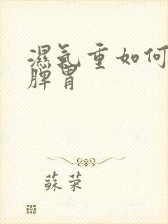 湿气重如何调理脾胃