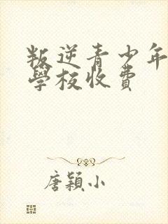 叛逆青少年封闭学校收费