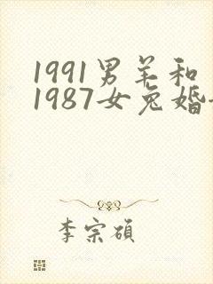 1991男羊和1987女兔婚姻怎么样封面