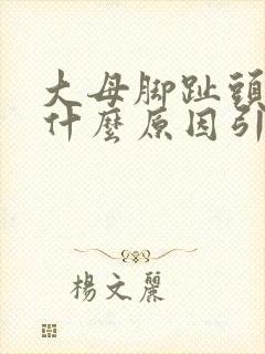 大母脚趾头疼痛什么原因引起的呢怎么治疗