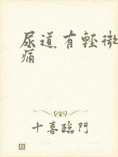 尿道有轻微的刺痛封面