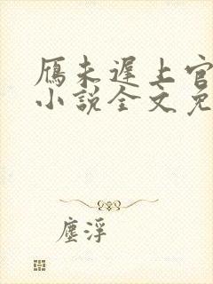 雁未迟上官穿越小说全文免费阅读