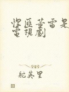 悍匪董雷是什么电视剧