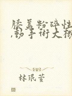 膝盖粉碎性骨折,动手术大概需要多少钱