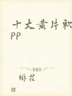 十大黄片软件app