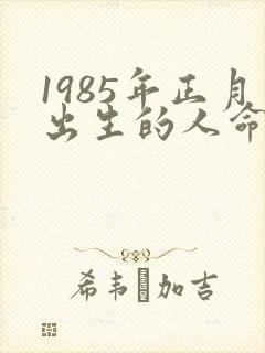 1985年正月出生的人命运