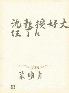 沈教授好大含不住了h