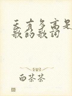 天有多高是哪首歌的歌词