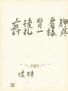 右后背肩胛骨像针扎一样疼怎么回事