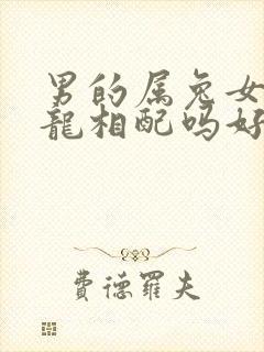 男的属兔女的属龙相配吗好吗