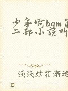 少年啊bgm第二部小说叫什么