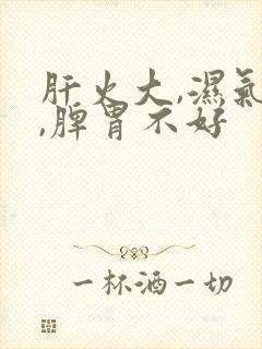 肝火大,湿气重,脾胃不好