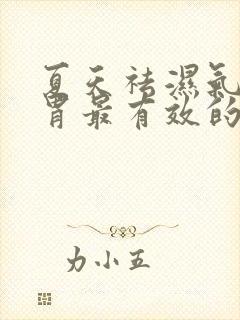 夏天祛湿气健脾胃最有效的方法封面