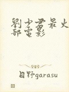 刘少君最火的三部电影