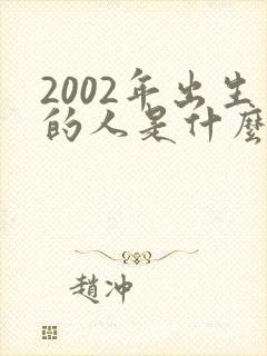2002年出生的人是什么命