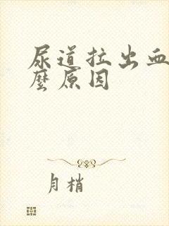 尿道拉出血是什么原因