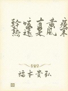 干咳有黄痰是风热还是风寒