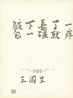 腋下长了一个大包一碰就疼很硬封面