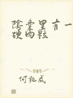 阴囊里有一个小硬肉粒