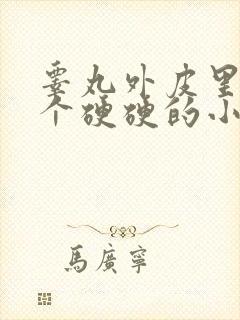 睾丸外皮里面有个硬硬的小疙瘩封面