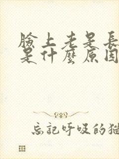 脸上老是长粉刺是什么原因