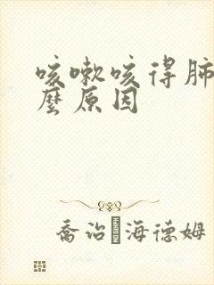 咳嗽咳得肺痛什么原因