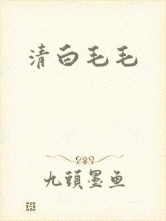 清白毛毛