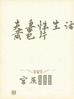 夫妻性生活特级黄色片