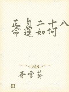 正月二十八的狗命运如何封面