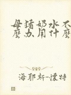 母猪奶水不好怎么办用什么办法