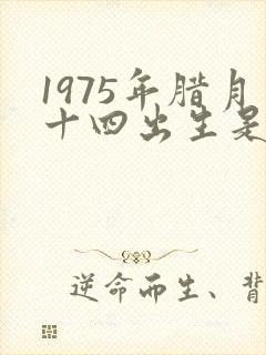1975年腊月十四出生是什么命