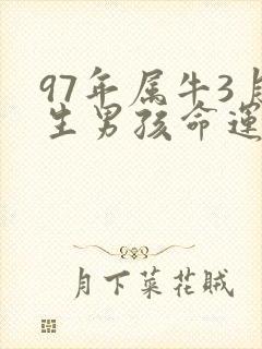 97年属牛3月生男孩命运封面
