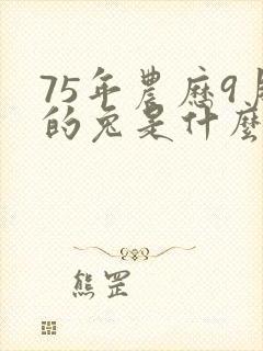 75年农历9月的兔是什么命