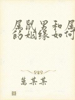 属鼠男和属龙女的姻缘如何封面