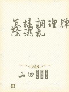 怎样调理脾胃去除湿气封面