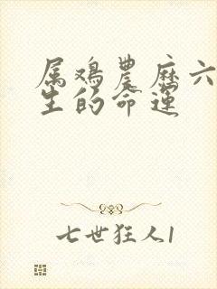 属鸡农历六月出生的命运