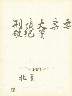 刑侦大案要案侦破纪实封面