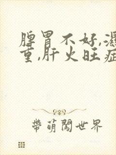 脾胃不好,湿气重,肝火旺症状