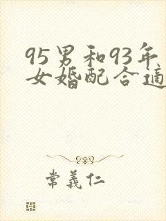 95男和93年女婚配合适吗封面