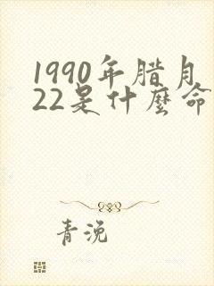 1990年腊月22是什么命