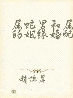 属蛇男和属兔女的姻缘婚配