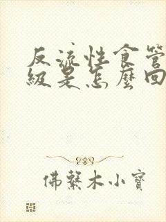 反流性食管炎a级是怎么回事