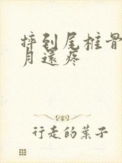 摔到尾椎骨半个月还疼