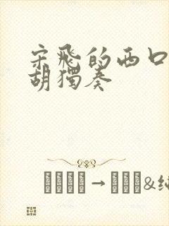 宋飞的西口情二胡独奏封面