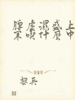 脾虚湿盛上热下寒吃什么中成药